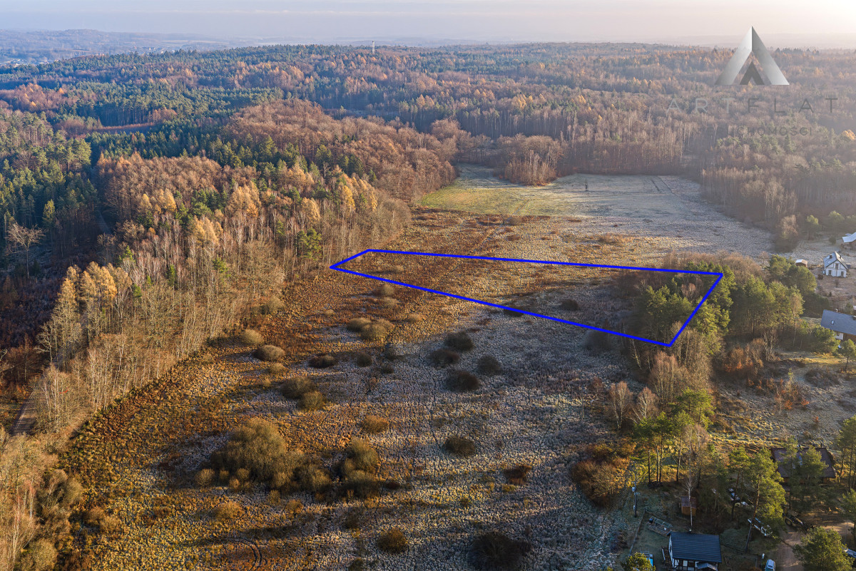 DZIAŁKA Leśniewo koło Pucka |BLISKO MORZA