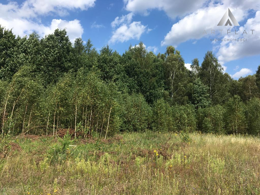 Działka w okolicy Nowej Kiszewy jezioro Strupino